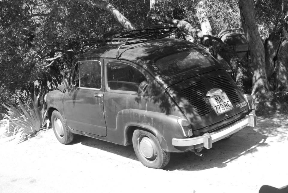 stera auto 