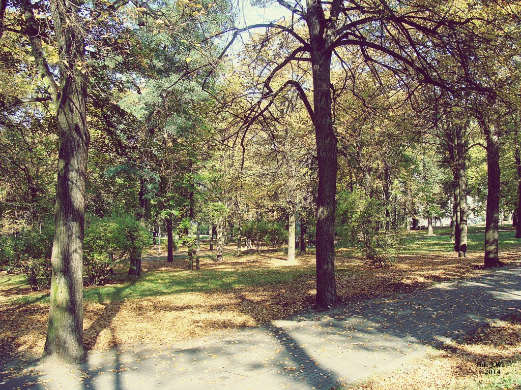 poniedziaek, 6 padziernika 14