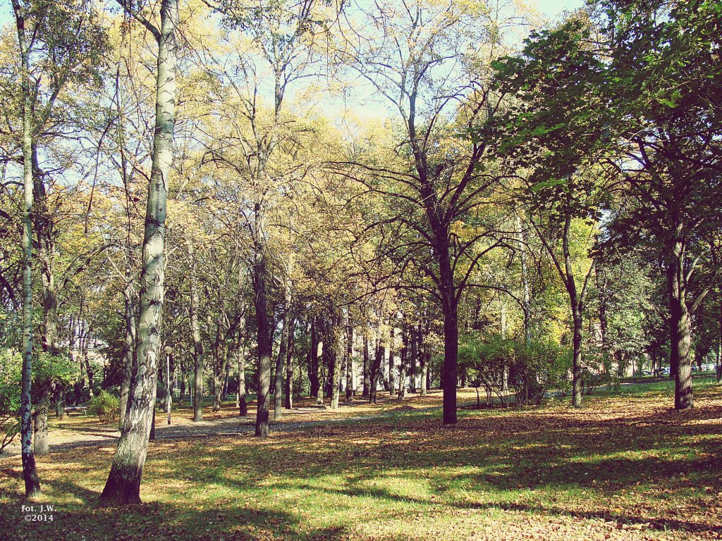 wtorek, 7 padziernika 2014