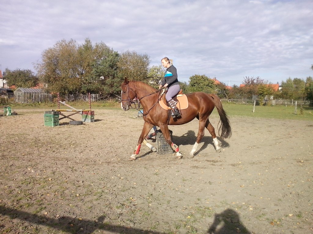 Cyga &amp; Popa