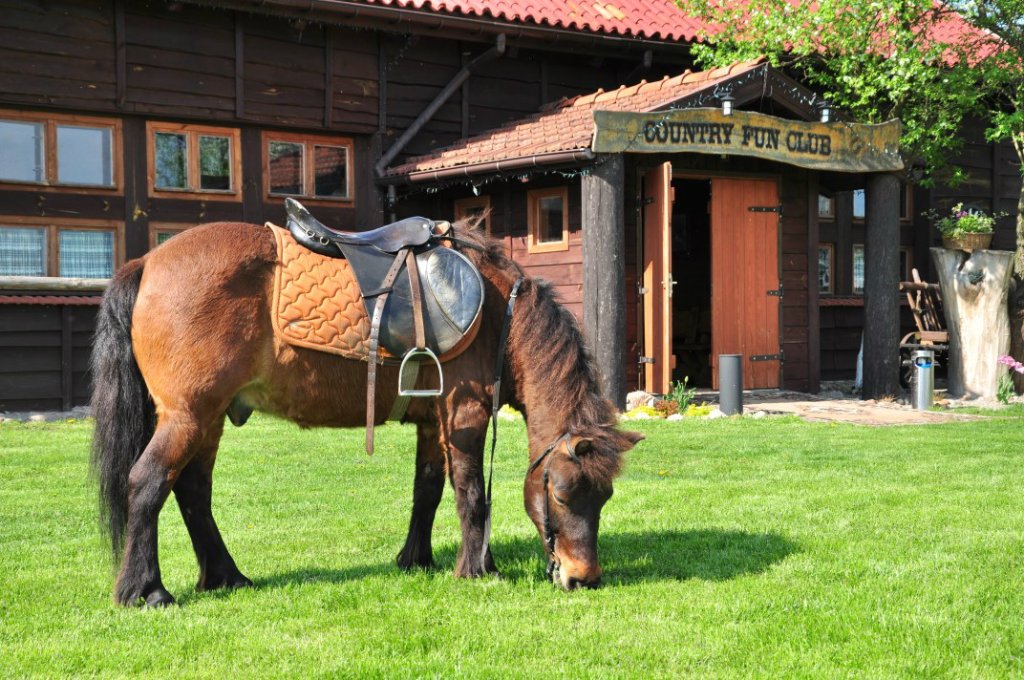 a taki sobie lucek