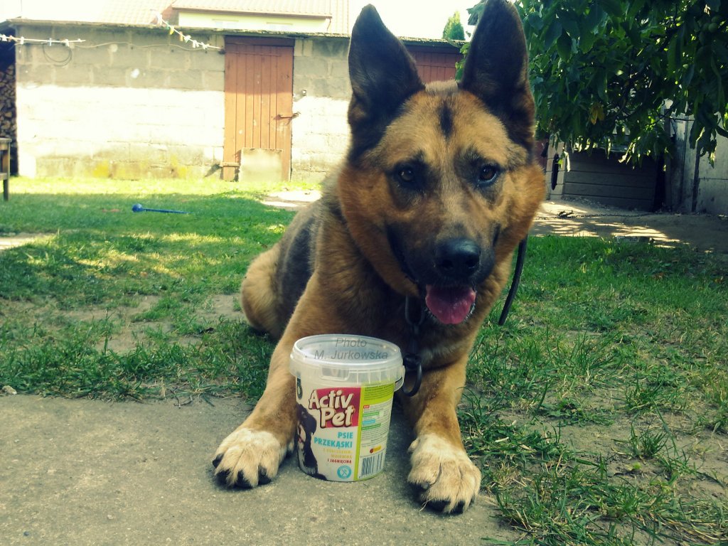 #Doggy