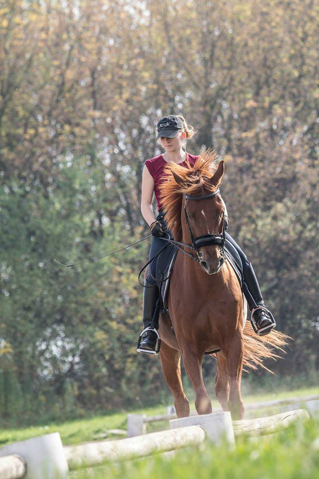 Lorendo :)