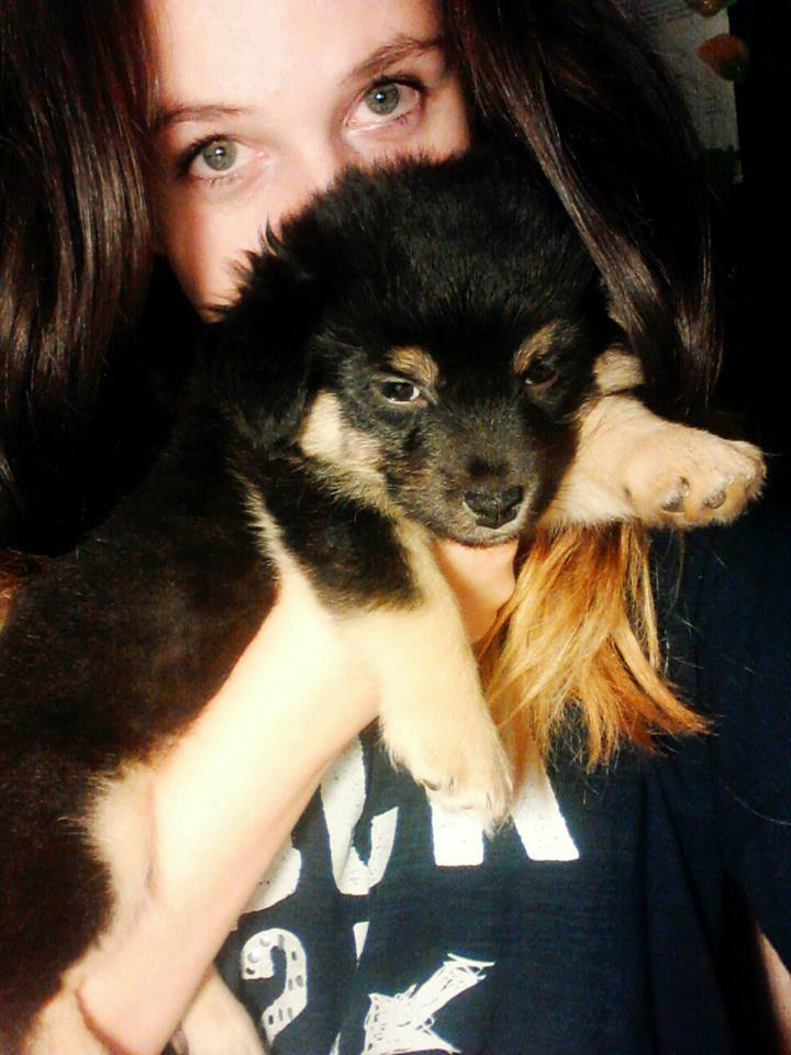 lovki