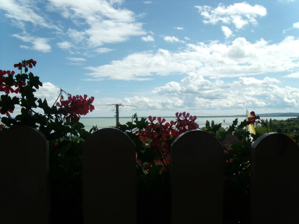 panorama
