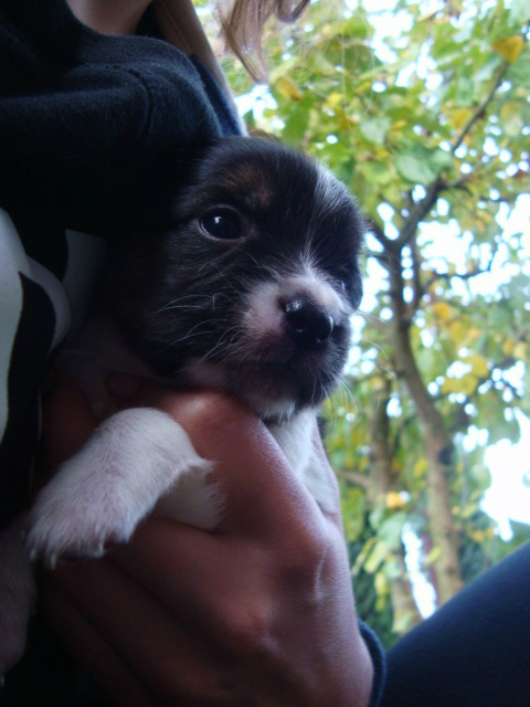 Abi. :)