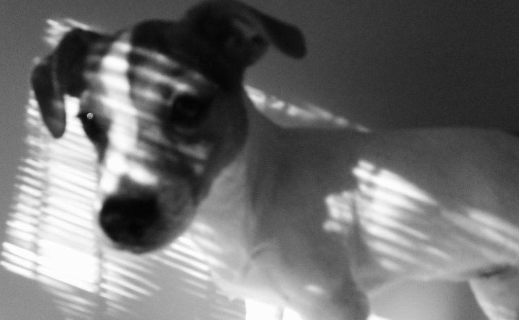 Horror klasy B/C
