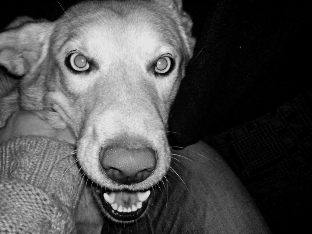 Luna! 