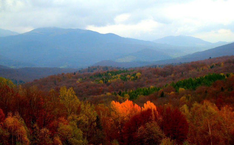 BIESZCZADY