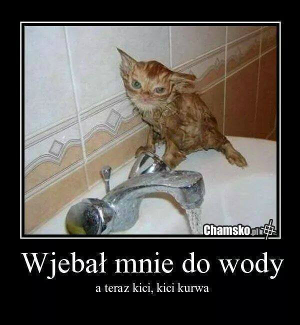 Hahaha