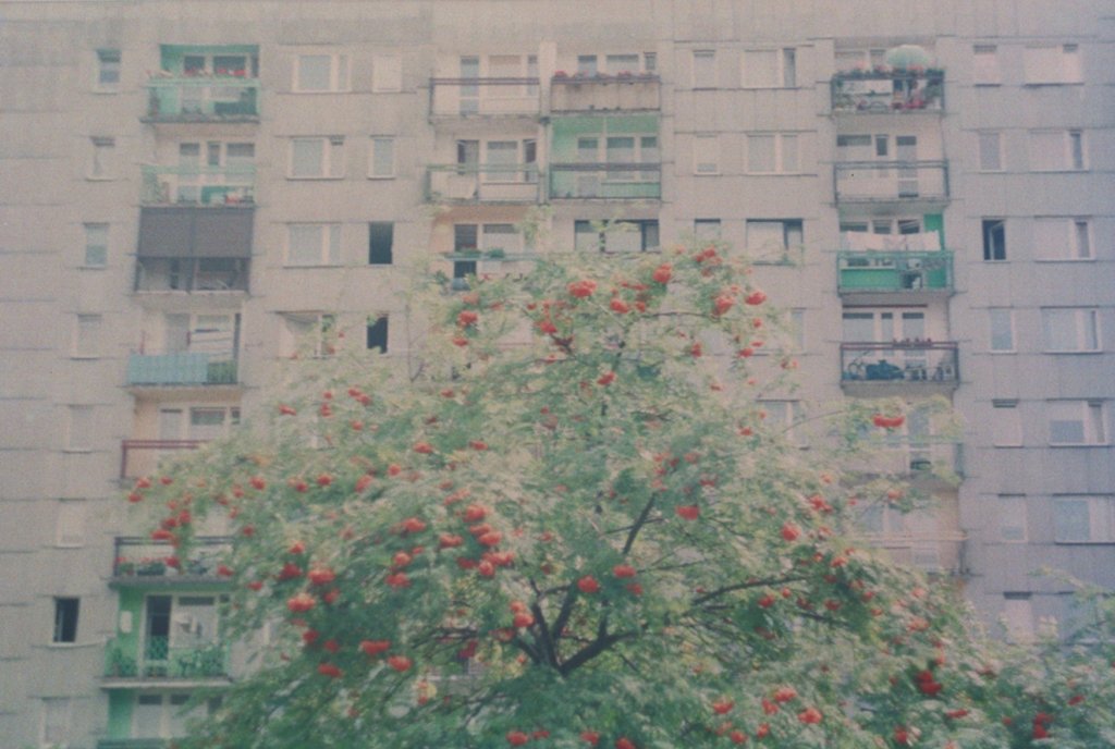 Wo jia zai Bolan