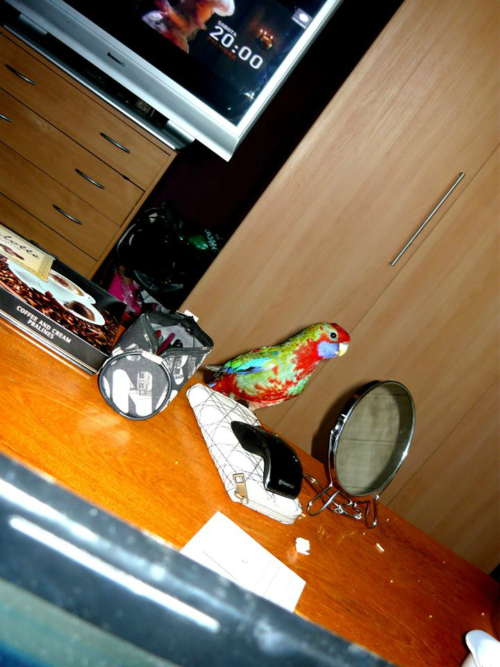 Emilka 