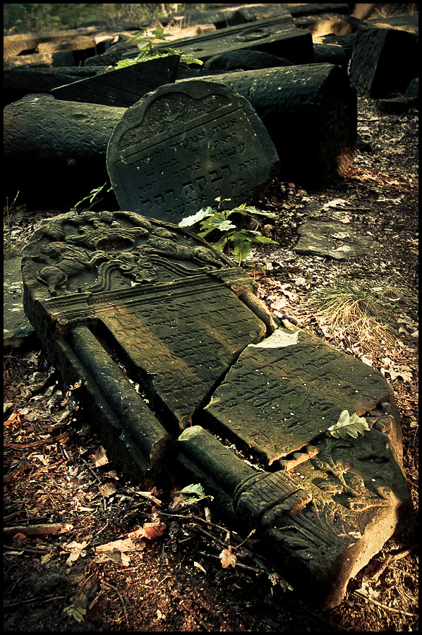 post mortem
