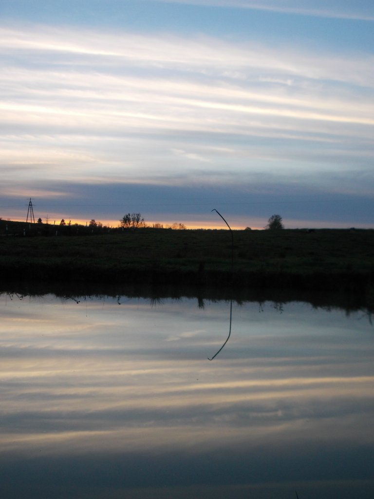 szczerze