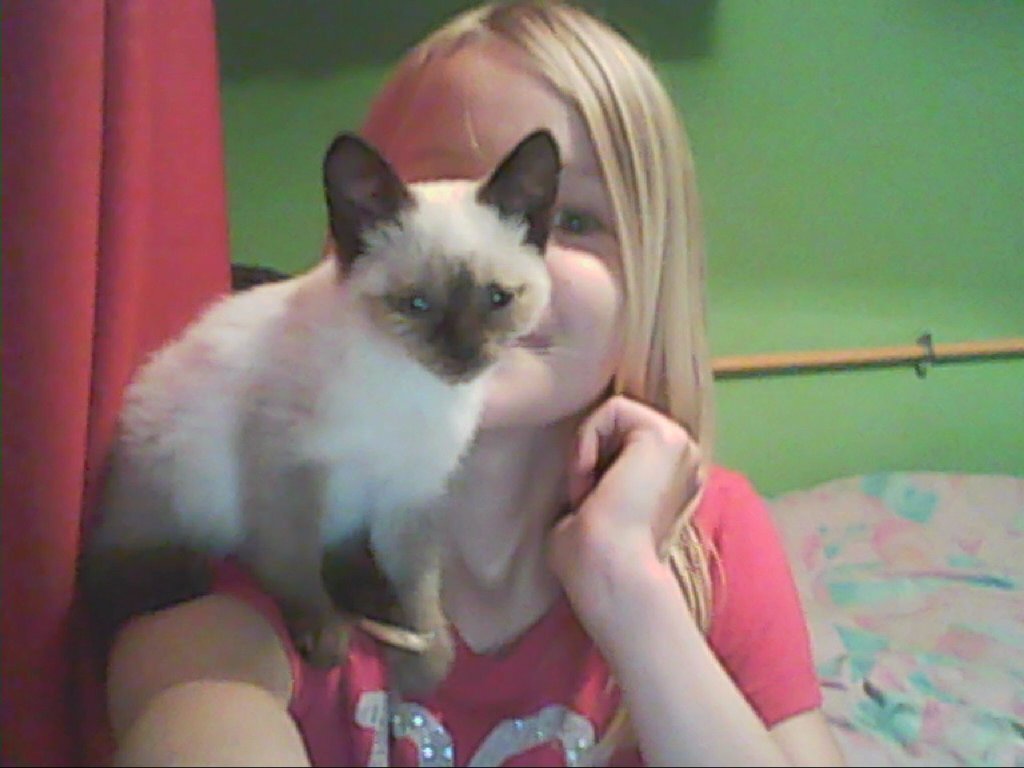 #LoveMyCat