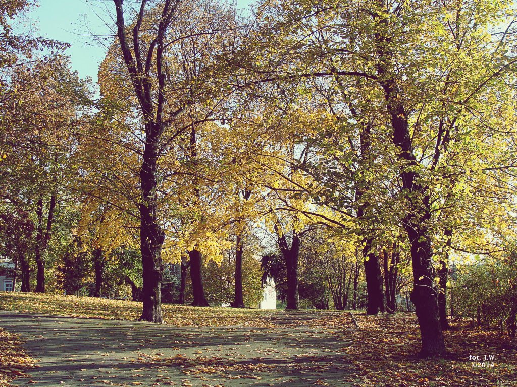 poniedziaek, 3 listopada 2014