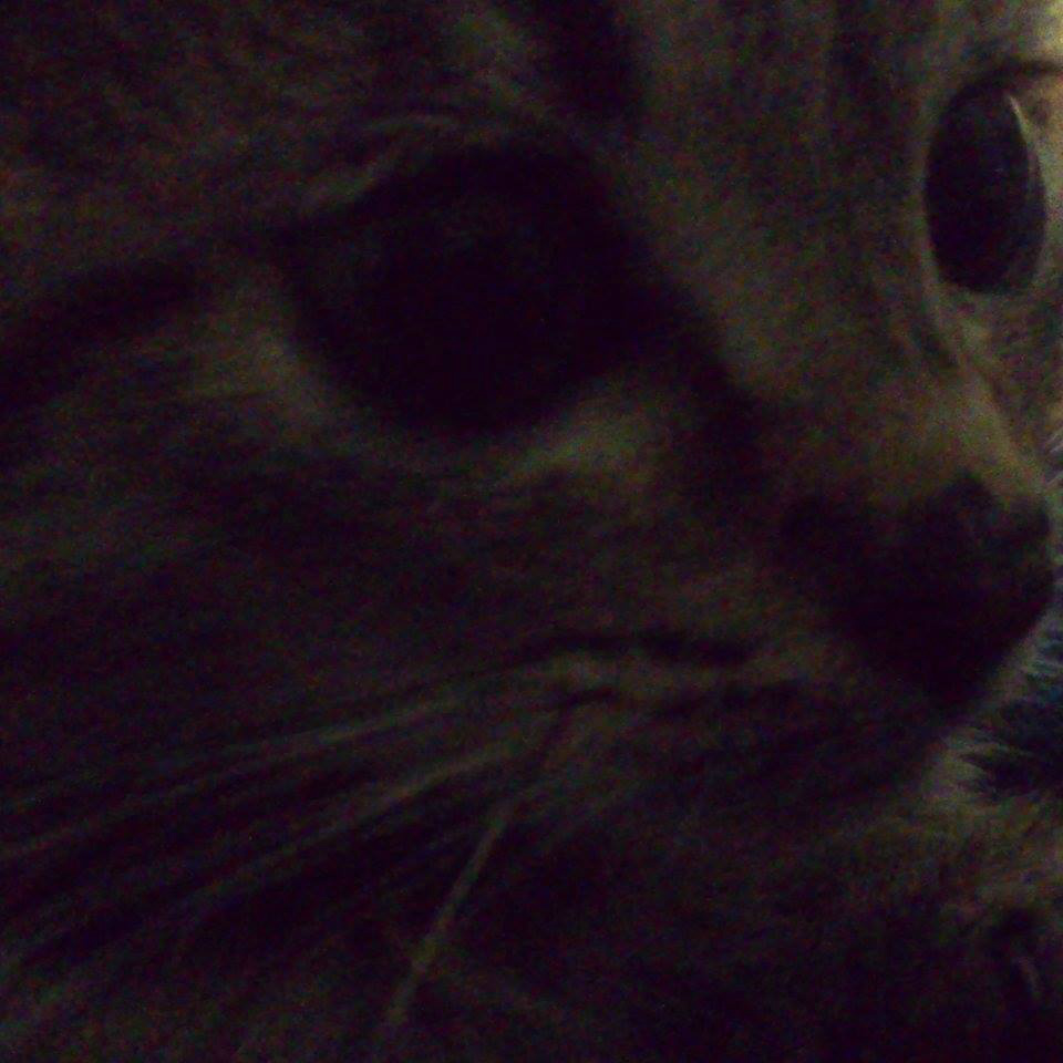 Milo.