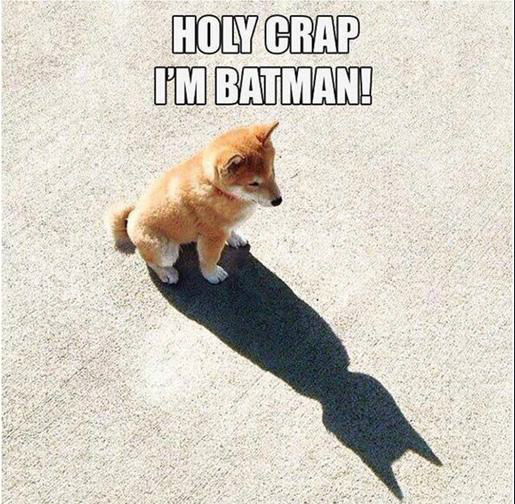 Holy crap!