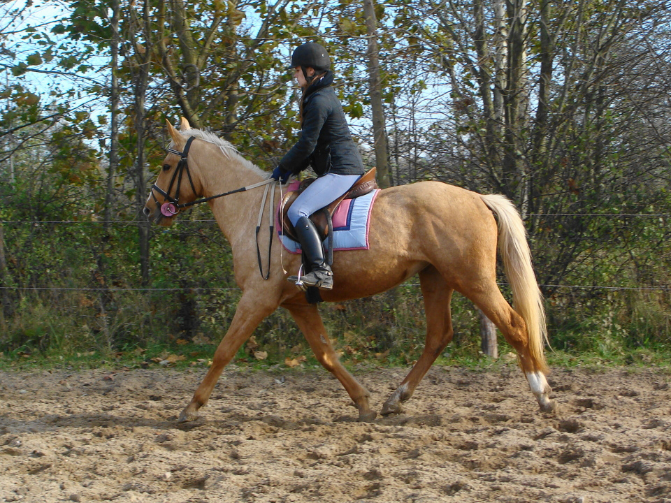 Belle Kinsk