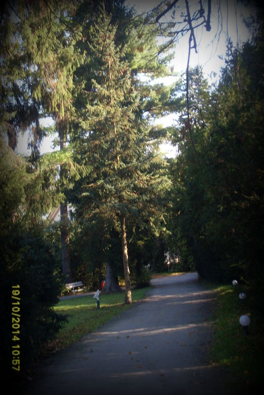 Park w Krasiczynie
