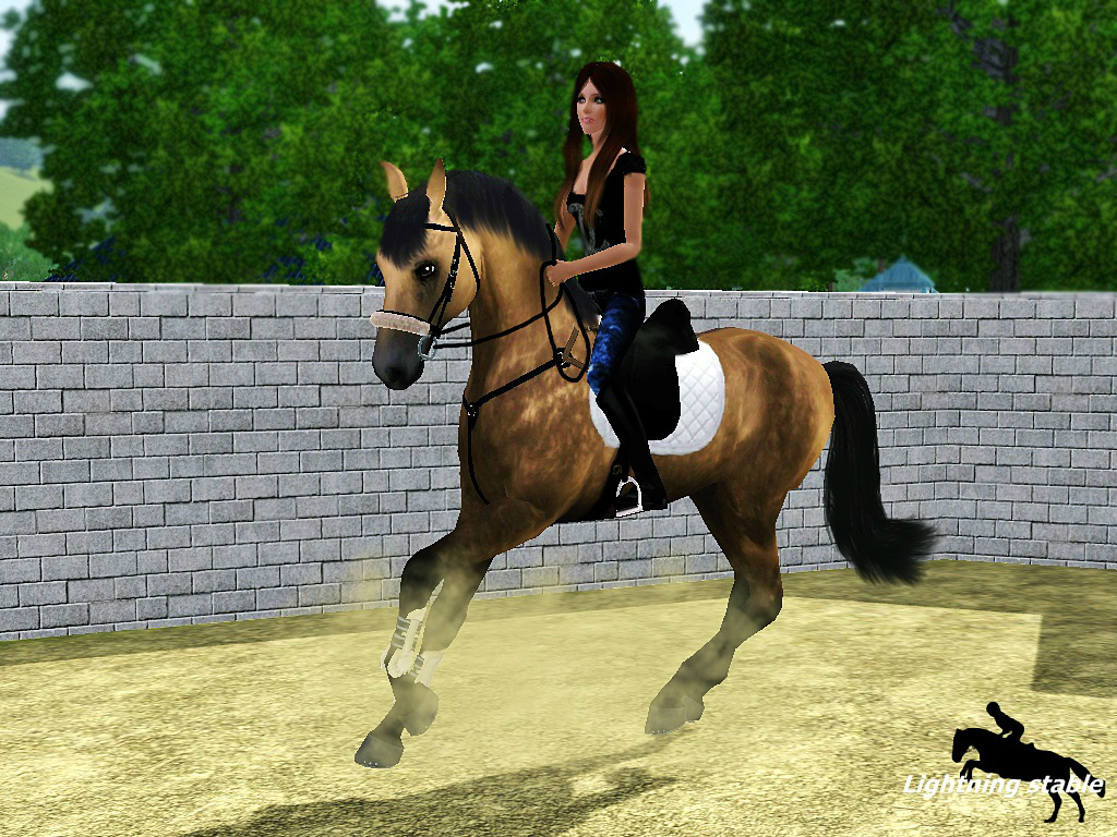 Nowy konio ^^