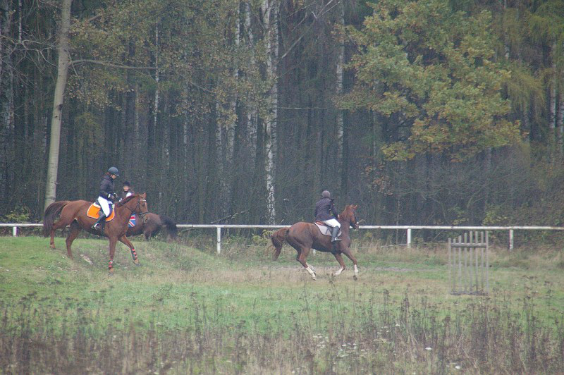 Hubertus
