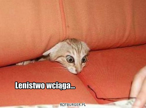  :DD