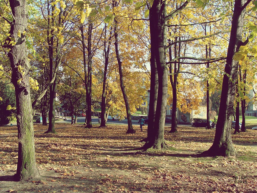 czwartek, 13 listopada 2014