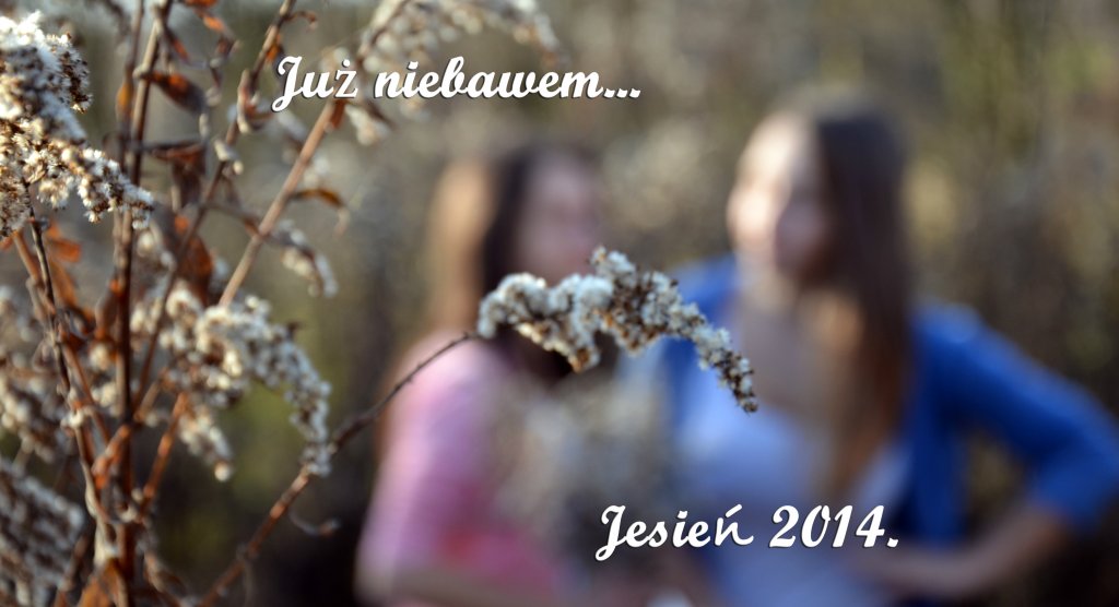 Zapowied....
