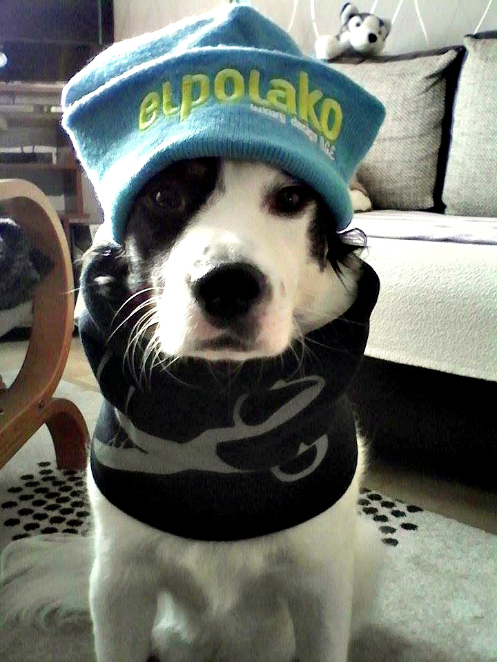 Winter is coming..