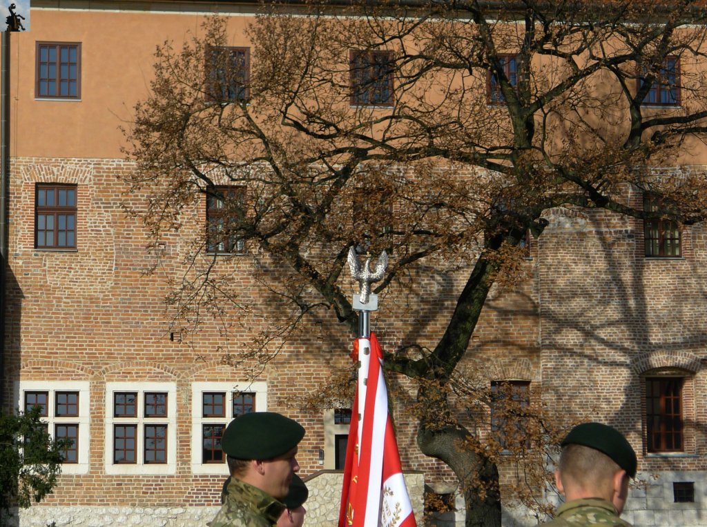 11 Listopada 2014