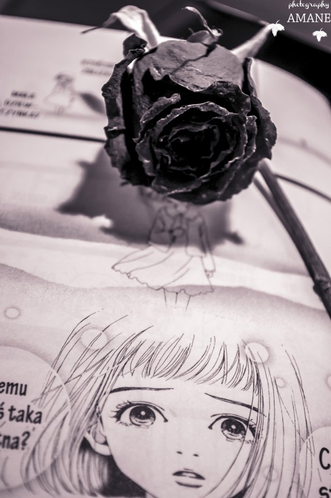 manga