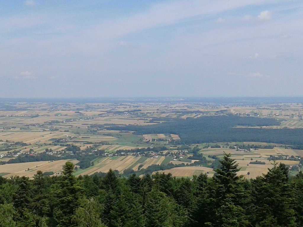 26.
