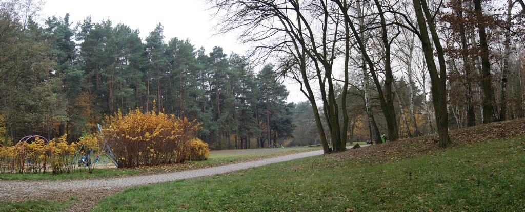 Panorama sferyczna