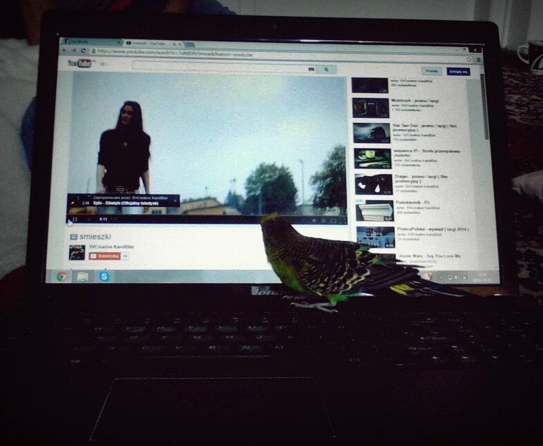 Like my job :) !
