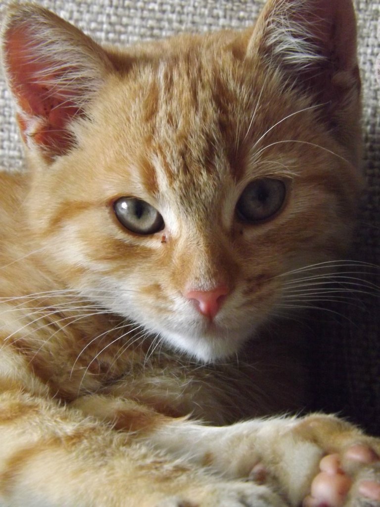 Mj may dzikus ;p