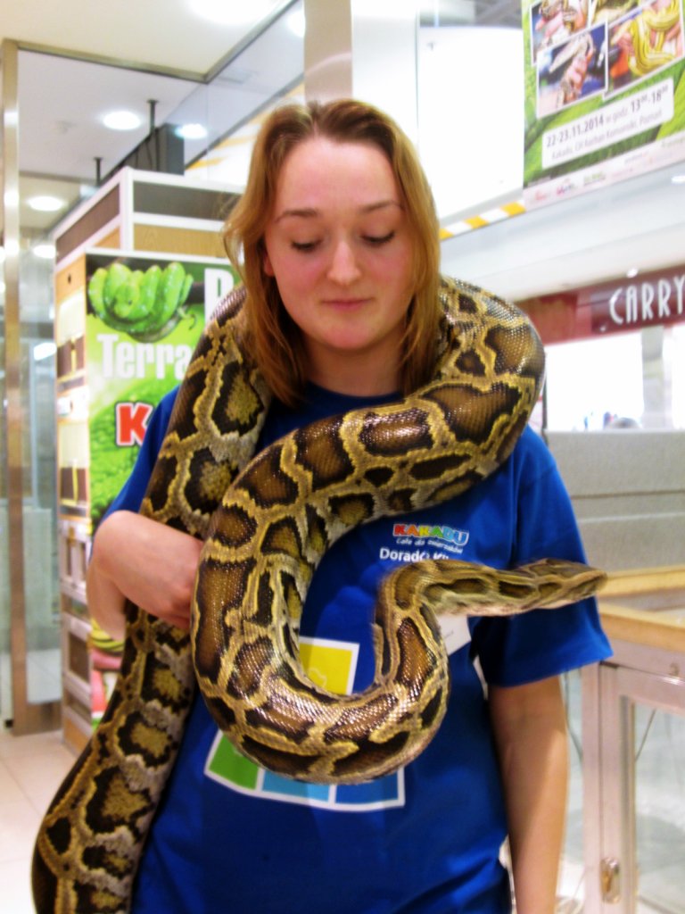 ssssssssssss