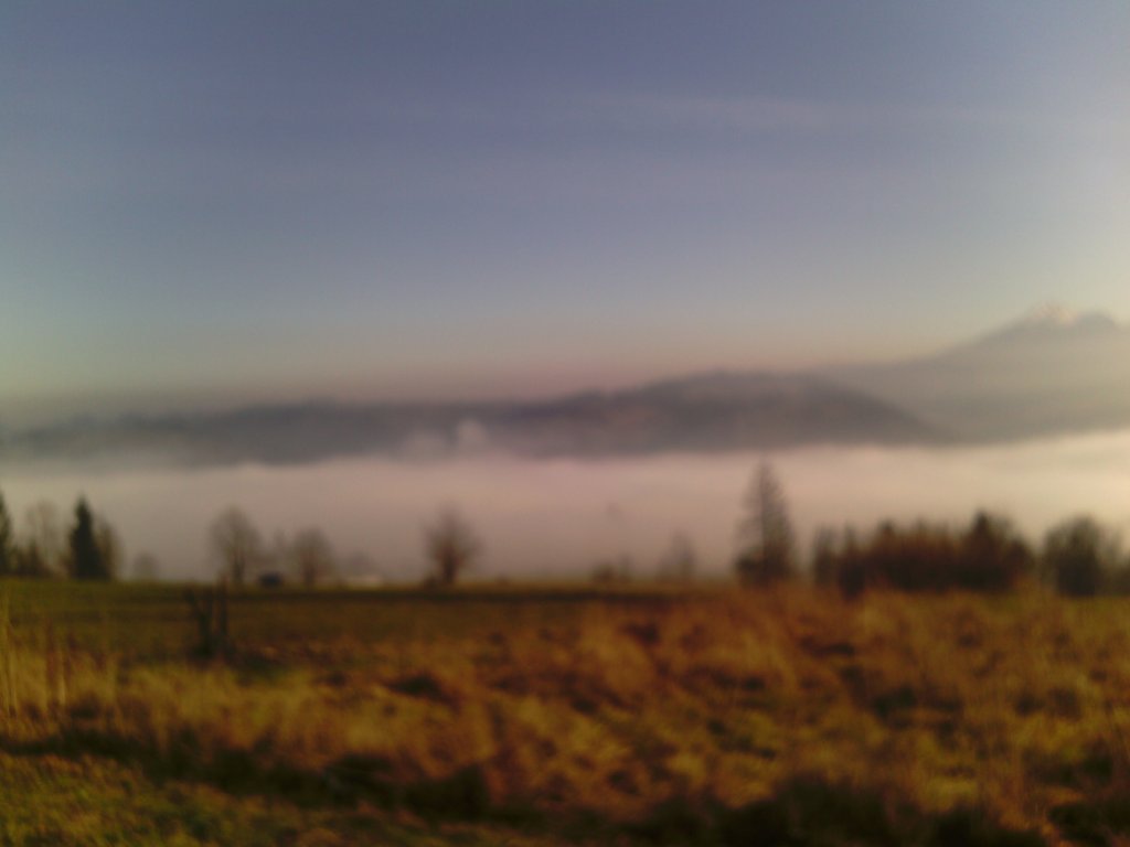 widok