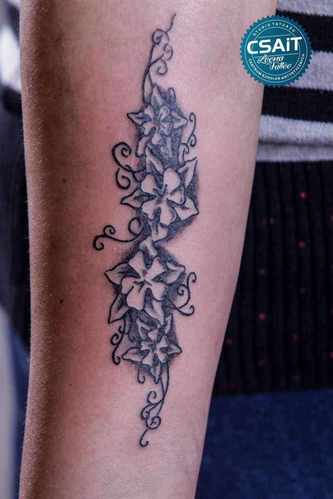 Tatua 
