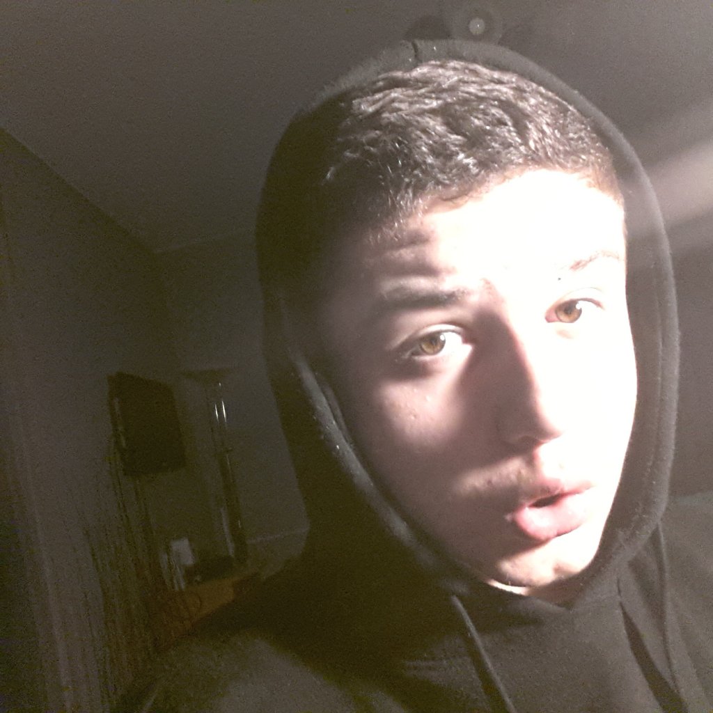 dortt
