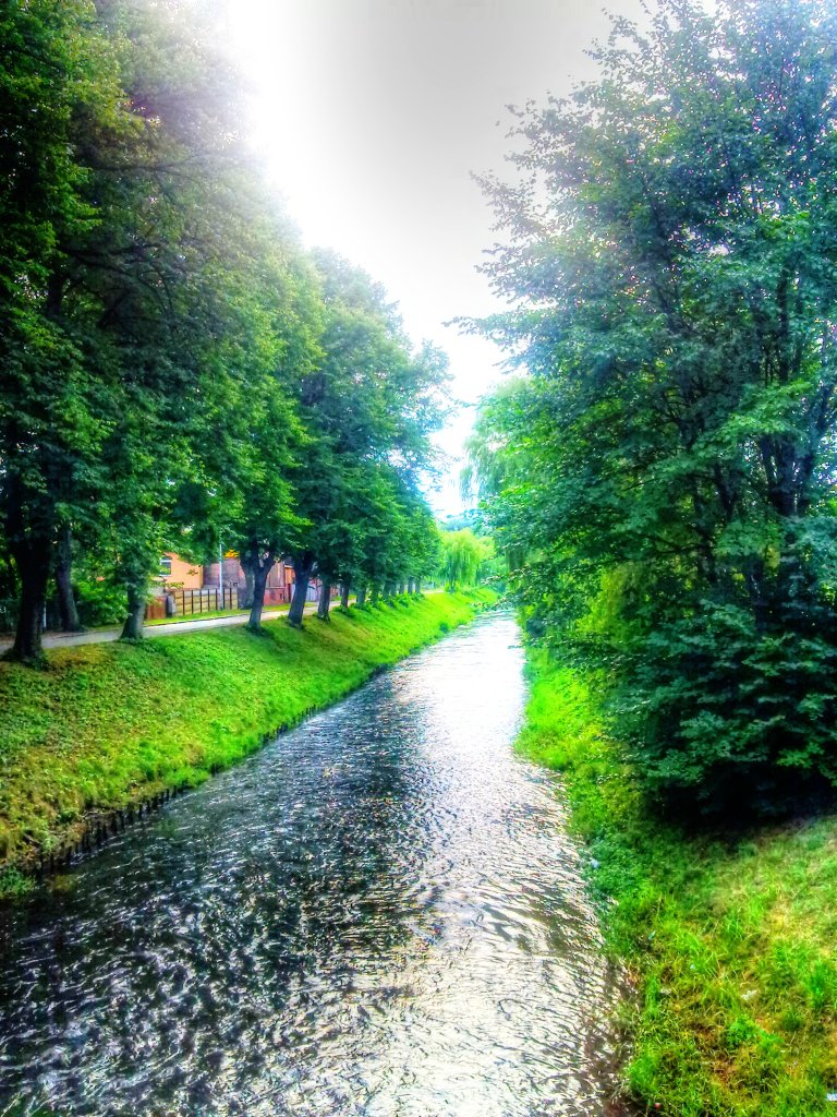 W strumieniu wspomnie....