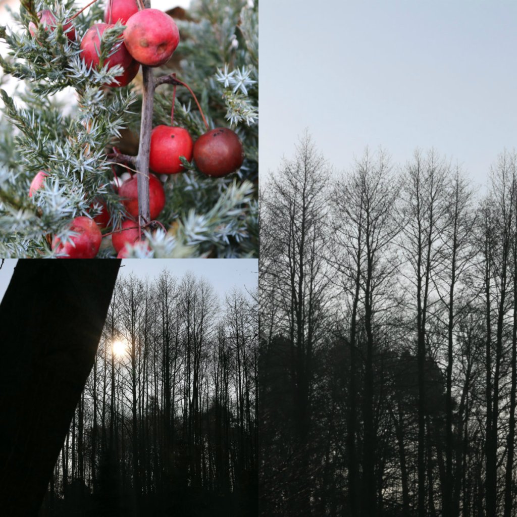 Winter is coming!