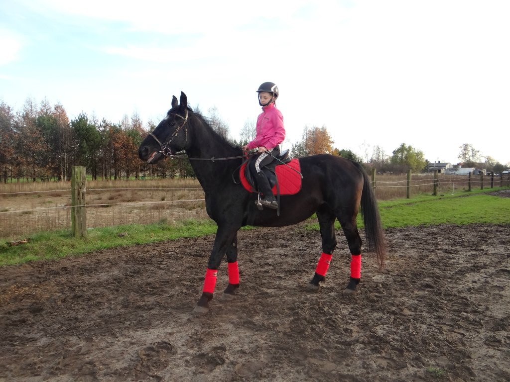 Hubertus 2014r. 