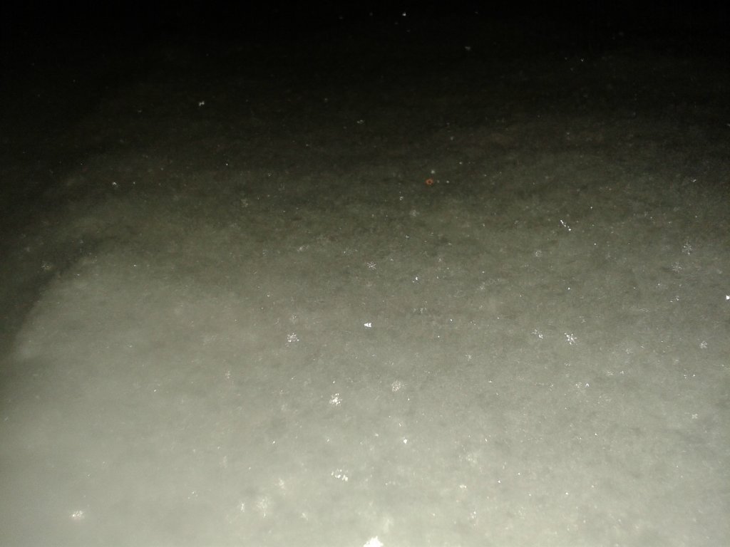 nieg