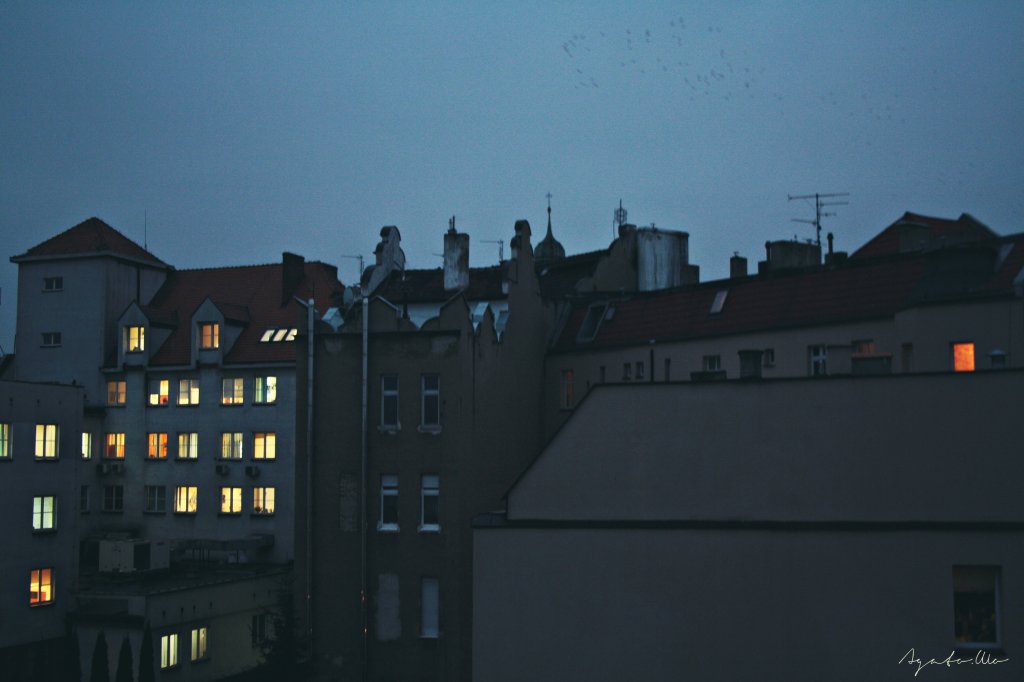 LIGHTS.