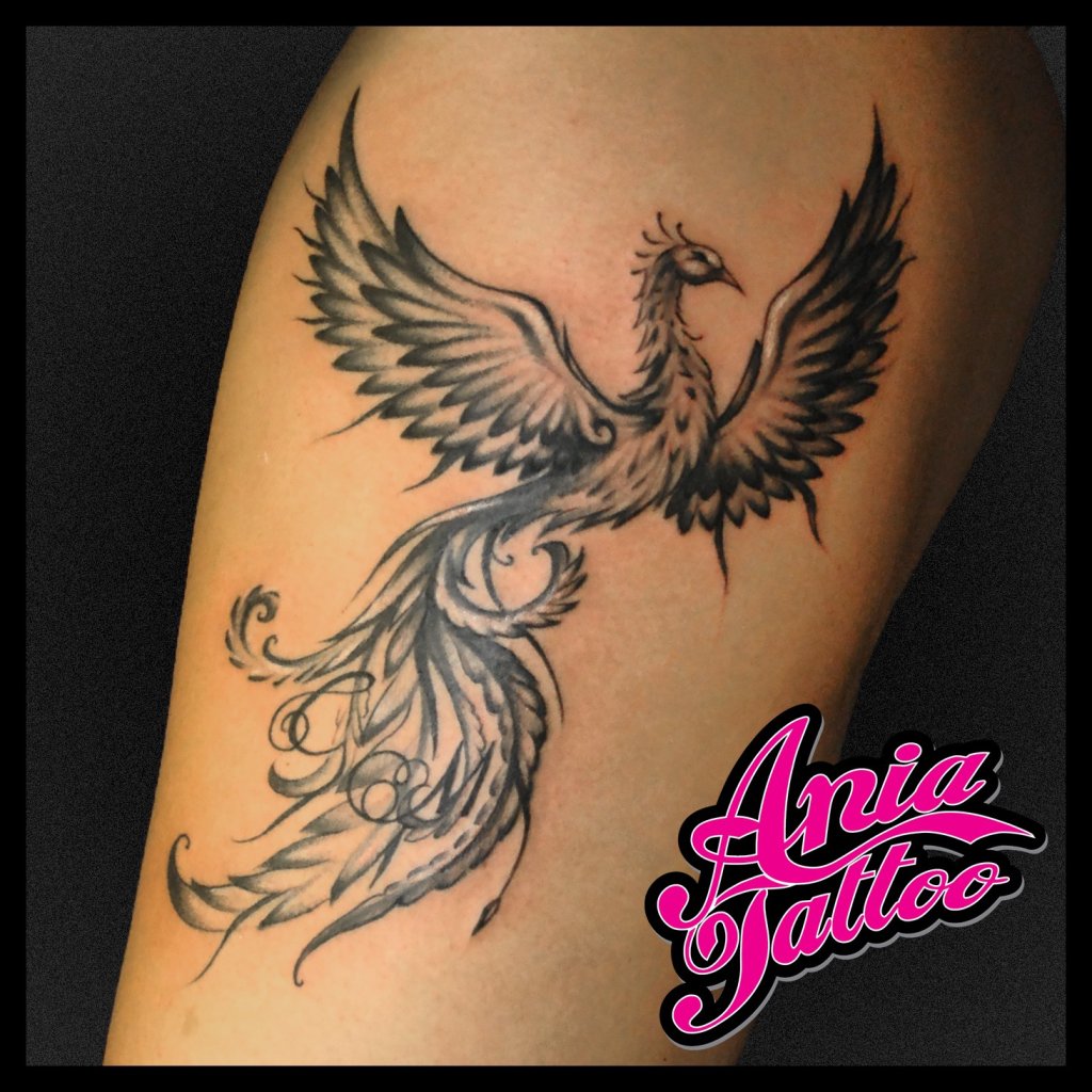Fenix tatua