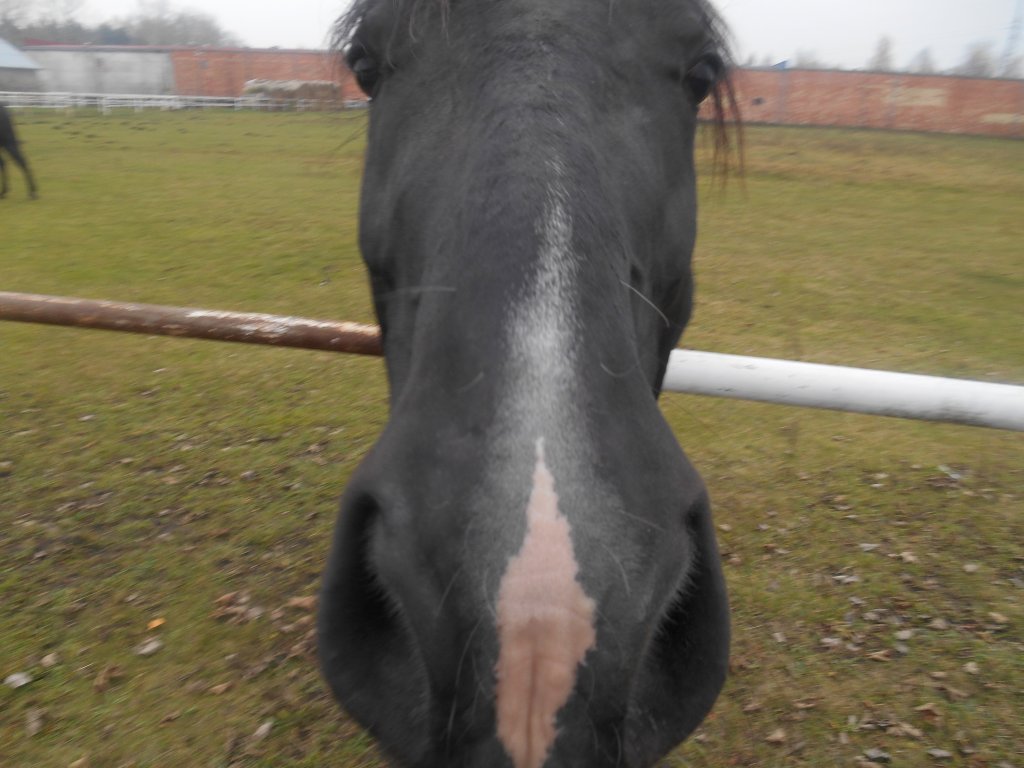 Moja Cepa=)