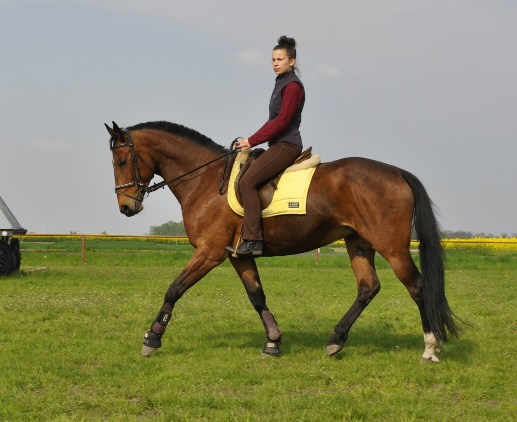 Riwella 