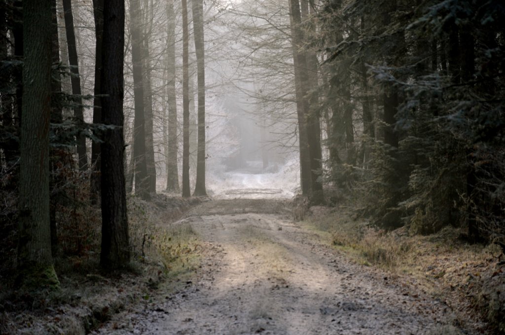 L'hiver