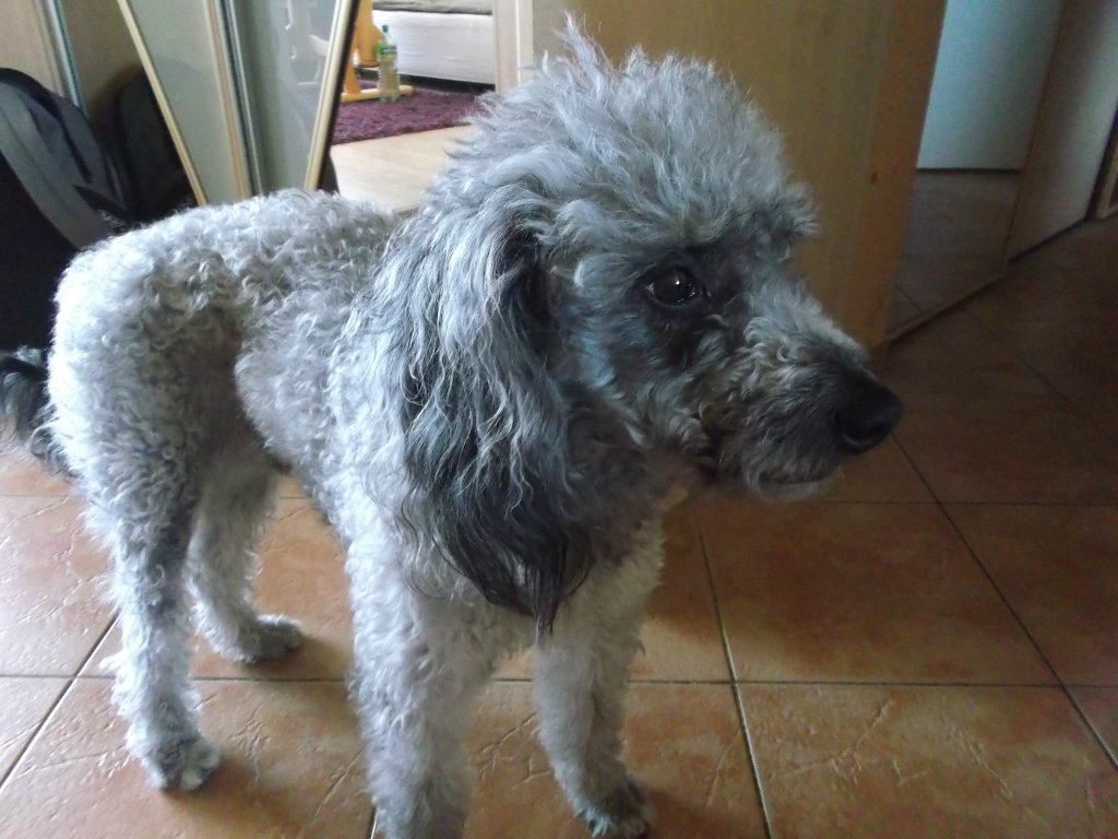 Zbireczka!!!!!